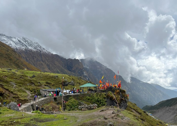 1766229792-pexels-ravikant-14102698 (1).jpg